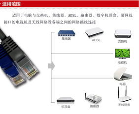3米超五类非屏蔽软跳线 稳定连接，极速体验